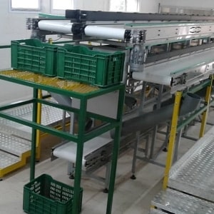 nastro insalata 1 min